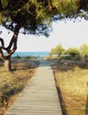 A wooden walkway at Porto Corallo, Sardinia
