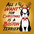 All i want for Christmas is a Boston Terrier- cute Christmas text, and Boston Terrier with a reindeer antler on his head. Royalty Free Stock Photo