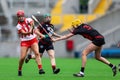 All Ireland Senior Camogie Championship between county Cork and county Down.