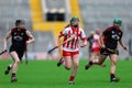 All Ireland Senior Camogie Championship between county Cork and county Down.