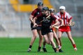 All Ireland Senior Camogie Championship between county Cork and county Down.