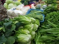 All kinds of vegetables and green vegetables bought in the market are rich in chlorophyll and nutritious and healthy.