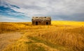 All that is left of an old house in the farmers feild. Three Hills, Alberta, Canada