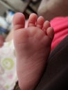 All the little toes you want to kiss Royalty Free Stock Photo