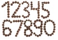 All number made of pine cone