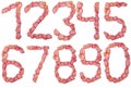 All number made of pink rose petal