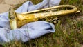 All one needs for the evening a sweatshirt and their Flugelhorn