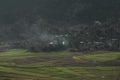 Ricefiels in the landscape of Indonesia Royalty Free Stock Photo