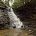 Boardtree Falls--Tennessee