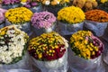 Bouquets of chrysanthemums prepared for All Saints` Day Feast of the Dead Royalty Free Stock Photo