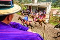 All Saints' Day horse race, Todos Santos Cuchumatan, Guatemala
