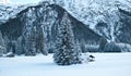 Santa`s hut under a snow-covered tree