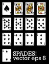 All of the Spades! Playing cards.