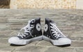 All Star Converse Sneakers