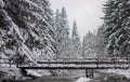 the river flows slowly below in the forest whitened by heavy snow Royalty Free Stock Photo