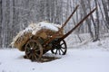 a straw wagon under a blizzard of snow and wind Royalty Free Stock Photo