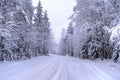 All white under snow. Snow forest in Sweden Royalty Free Stock Photo