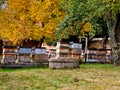 all-wood pine wood hives connected by a serrated joint. roof of galvanized Royalty Free Stock Photo