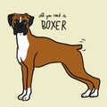 All you need is Boxer dog cartoon  illustration Royalty Free Stock Photo