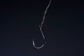 You need for fishing is fishhooks and baitfish or artificial flies