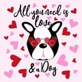 All you need is love and a dog, funny saying text, and Boston Terrier head in sunglasses wit hearts. Royalty Free Stock Photo