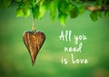 All you need is love quote Royalty Free Stock Photo