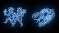 All the Zodiac Sign Revealed in Blue Glowing Lines