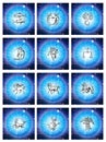 All zodiac signs over blue horoscope and white background Royalty Free Stock Photo