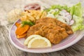 Fried beef cutlets Royalty Free Stock Photo