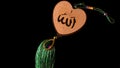 Allah and his name in arabic letters/ God meaning of arabic