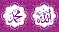 Allah & Muhammad Arabic Wall Art Calligraphy Pink Color