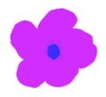 Drawing of a purple flower of the angel`s trumpet planta, sprawling shrub or woody climber. Illustration - Vector.