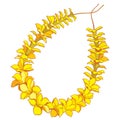 Vector outline Hawaiian lei necklace from tropical Allamanda yellow flower and petal isolated on white background. Royalty Free Stock Photo