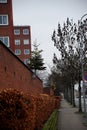 Alleen stree decorated with christmas tree in Kastrup Denmark