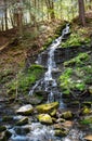 Allegany State Park Royalty Free Stock Photo