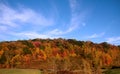 Allegheny forest