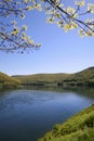 Allegheny national forest