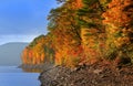 Allegheny national forest