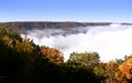 Allegheny National Forest