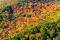 Allegheny National Forest