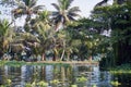 Alleppey Backwaters Kerala. Boat trip Royalty Free Stock Photo