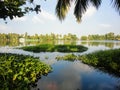 Alleppey, India Royalty Free Stock Photo