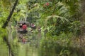 ALLEPPEY, KERALA, INDIA - AUGUST 16, 2016: Unidentified indian p Royalty Free Stock Photo