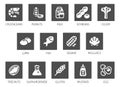 Allergen Food Major Allergy Icons Royalty Free Stock Photo