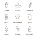 Allergen line icon set. Celery sesame, feather meat, mushroom nuts, corn, sugar mustard free badges. Allergy warning