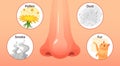Allergic sickness. Red nose, allergy illnesses symptoms and allergens. Smoke, pollen and dust allergies cartoon vector Royalty Free Stock Photo