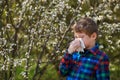 A boy with a handkerchief escapes from a spring Allergy . Royalty Free Stock Photo