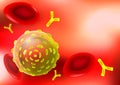 Allergy. Antigen and antibodies in blood flow. red background.