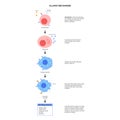 Allergy mechanism diagram Royalty Free Stock Photo