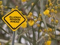 allergy season ahead traffic sign on blue sky